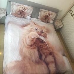 Cat Duvet Cover Pet Cat Pattern Bedding Set Cute KittenGift For Your Girlfriend Boyfriend Gift For Love Gift For Friend Best Valentine Present Holiday Gift