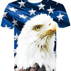 Men's American Flag and Eagle 3D Print T-Shirt Meaningful Gift For Family Gift For Boyfriend Valentine Gift