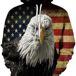 American Flag Eagle 3D Hoodies