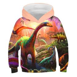 Long Sleeve Hoodie 3d Printed, Animal Dinosaur Sweatshirt Hooded Fashion Sweatshirt Casual Hoodie