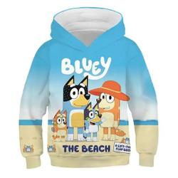 BlueyDad Family Hoodie, 3D Hoodie