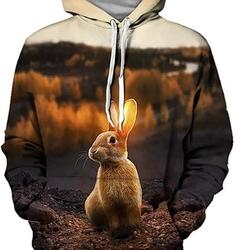 Rabbit Animal Sunset Pullover 3d Hoodie