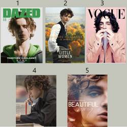 Timothee Chalamet Magazine Poster Meaningful Gift For Family Gift For Boyfriend Valentine Gift Birthday Gift Holiday Gift