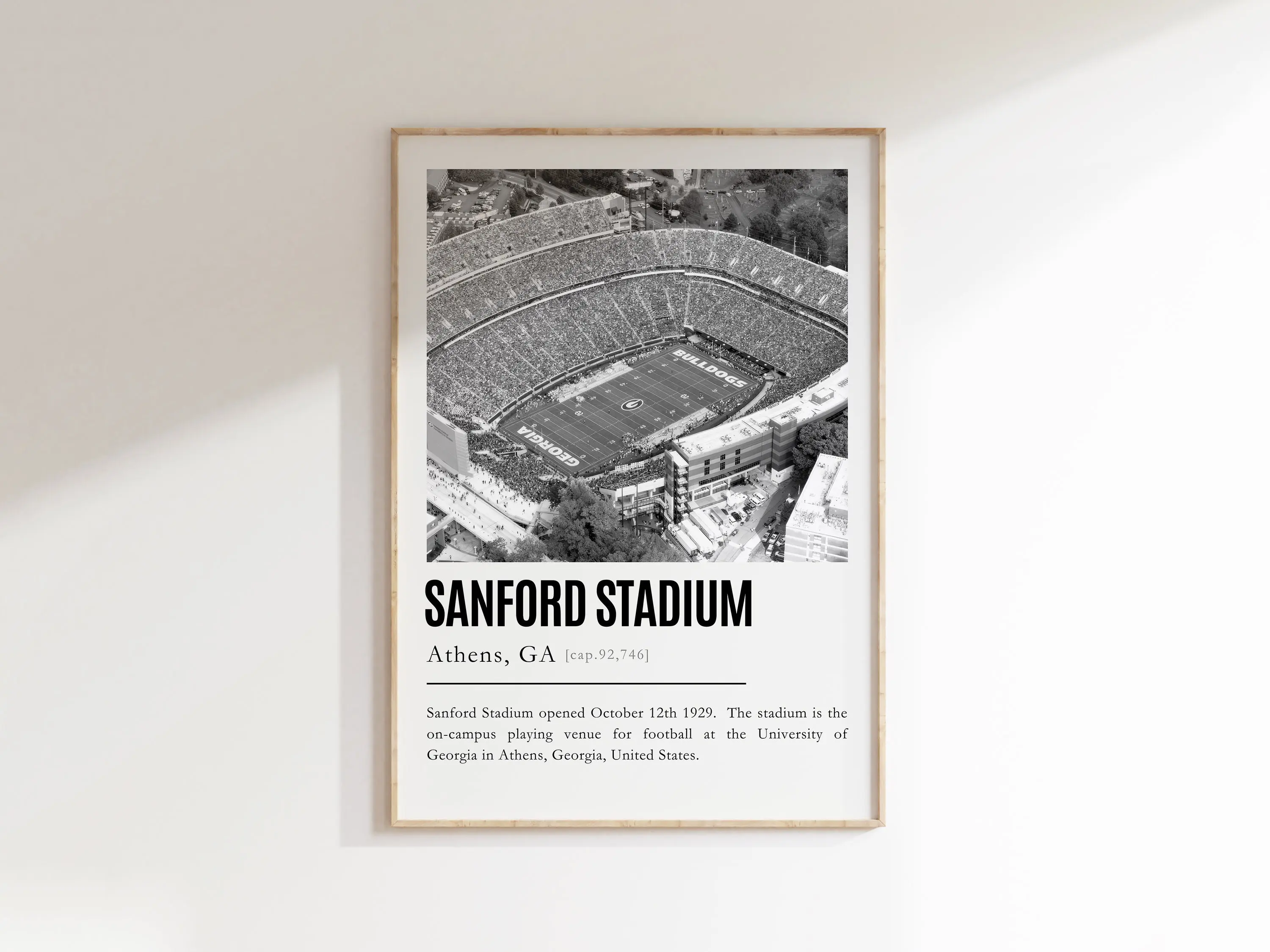 Sanford Stadium Poster University of GA bulldogs Meaningful Gift For Family Gift For Boyfriend Valentine Gift Birthday Gift Holiday Gift