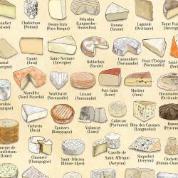 Vintage FRENCH cheese poster Meaningful Gift For Family Gift For Boyfriend Valentine Gift Birthday Gift Holiday Gift