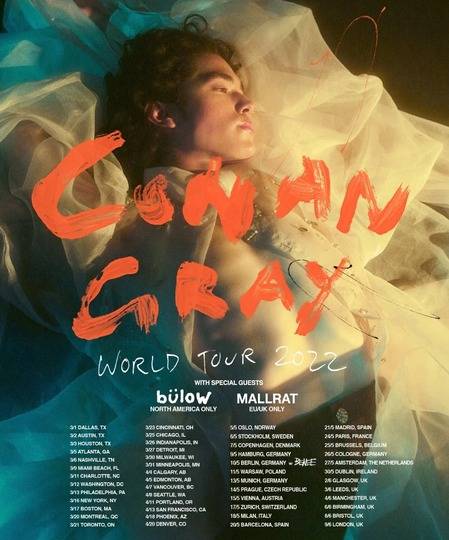 Conan Gray World Tour 2022 Classic Poster Meaningful Gift For Family Gift For Boyfriend Valentine Gift Birthday Gift Holiday Gift