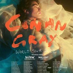 Conan Gray World Tour 2022 Classic  Poster Meaningful Gift For Family Gift For Boyfriend Valentine Gift Birthday Gift Holiday Gift