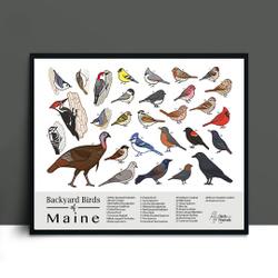 Maine - Backyard Birds of Maine Field Guide Print - Bird Art Print - BirdsandFriends.co Premium Matte Poster Meaningful Gift For Family Gift For Boyfriend Valentine Gift Birthday Gift Holiday Gift