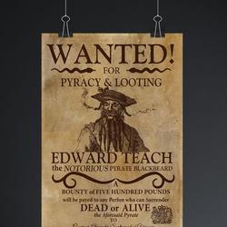 Blackbeard Wanted Premium Matte Vertical Poster Meaningful Gift For Family Gift For Boyfriend Valentine Gift Birthday Gift Holiday Gift