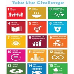 Global Goals Poster | UN SDGs 2030 Poster, Be The Change Take The Challenge Poster Meaningful Gift For Family Gift For Boyfriend Valentine Gift Birthday Gift Holiday Gift