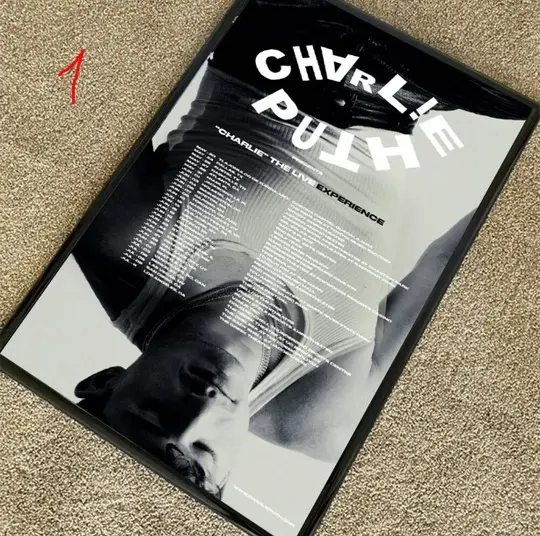 Charlie Puth 2023 Tour Poster, 2023 Tour Poster Meaningful Gift For Family Gift For Boyfriend Valentine Gift Birthday Gift Holiday Gift