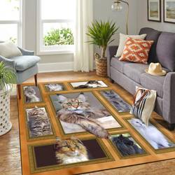 Xisbuient Area Rug Living Room Rug Home Decorgoku Transformations 190911