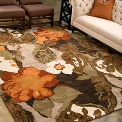 Elephant 6 Dhccna1109 Rug Living Room Rug Home Decor