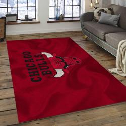 NBA Chicago Bulls Basketball Legend Team Logo Rectangle Area CB07