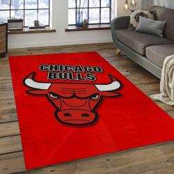 NBA Chicago Bulls Basketball Legend Team Logo Rectangle Area CB10
