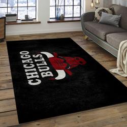 NBA Chicago Bulls Basketball Legend Team Logo Rectangle Area CB11