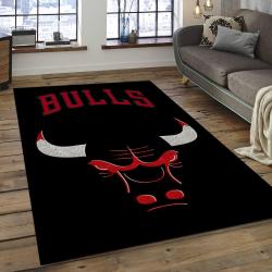 NBA Chicago Bulls Basketball Legend Team Logo Rectangle Area CB16