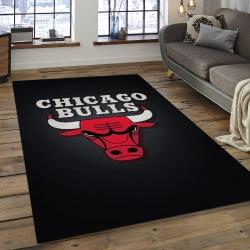 NBA Chicago Bulls Basketball Legend Team Logo Rectangle Area CB18