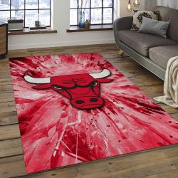 NBA Chicago Bulls Basketball Legend Team Logo Rectangle Area CB42