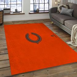 NFL Chicago Bears Football Team Logo Rectangle Area Rug CGB09