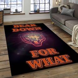 NFL Chicago Bears Football Team Logo Rectangle Area Rug CGB46