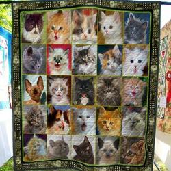 Baby Cats Quilt Blanket  Quilt and Home Decor