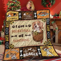 Bealge Pocketfull Quilt and Home Decor