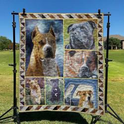 Boxer Dog 2 DHCCNA0909 Quilt Blanket and Home Decor
