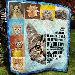 Cat Be Your Smile Quilt Blanket Dhc020120842Td and Home Decor