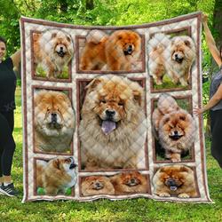 Cat Whiskers U Quilt Ko and Home Decor