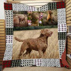Chesapeake DHCDHC NT2410 Quilt Blanket and Home Decor
