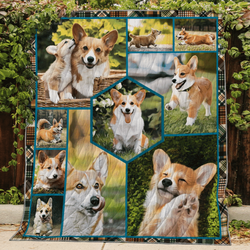 Corgi You Dont Love The Pains Quilt Blanket Dhc03011541Dd and Home Decor
