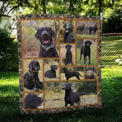 Curly Coated Retriever Cute Quilt Blanket Dhc09122005Dd and Home Decor