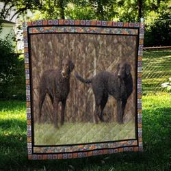 Curly Coated Retriever Friend Quilt Blanket Dhc09122044Dd and Home Decor
