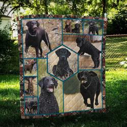 Curly Coated Retriever Vintage Quilt Blanket Dhc09122006Dd and Home Decor
