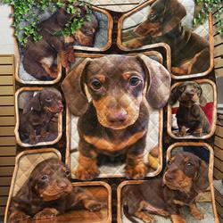 Custom Blanket 3D Dachshund Dogs Chocolate Blanket - Quilt Blanket and Home Decor