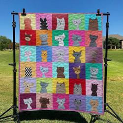 Cute Cat DHCLD0709 Quilt Blanket and Home Decor