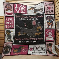 Dachshund Quilt -Bt16_1408  Quilt and Home Decor