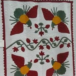 Eagle Cla1210130Q Quilt Blanket and Home Decor