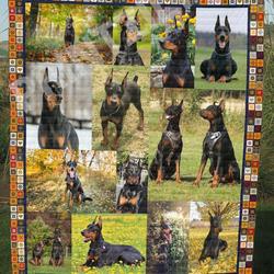 Fox Foxs In Love U Quilt Nw and Home Decor