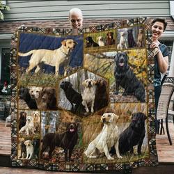 Golden Retriever Play With Me U Quilt Vc and Home Decor