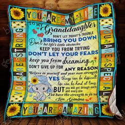 Grandma To Granddaughter, Don’T Give Up Quilt Shb008 and Home Decor