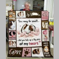 Guinea Pig O Quilt Bk and Home Decor