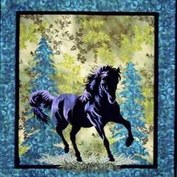 Horse Hur Quilt vm and Home Decor