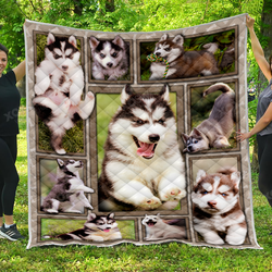Husky Puppy Quilt  Quilt and Home Decor