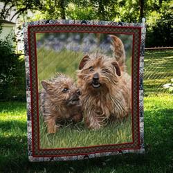 Norfolk Terrier Together Quilt Blanket Dhc09122042Dd and Home Decor