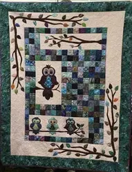 Owl Cla030710 Quilt Blanket and Home Decor