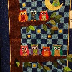 Owl Cla0910512Q Quilt Blanket and Home Decor