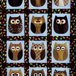 Owl Cla1010423Q Quilt Blanket and Home Decor