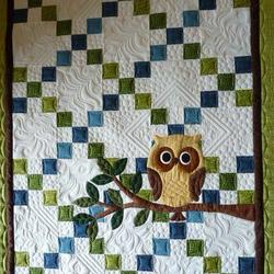 Owl Cla210647 Quilt Blanket and Home Decor